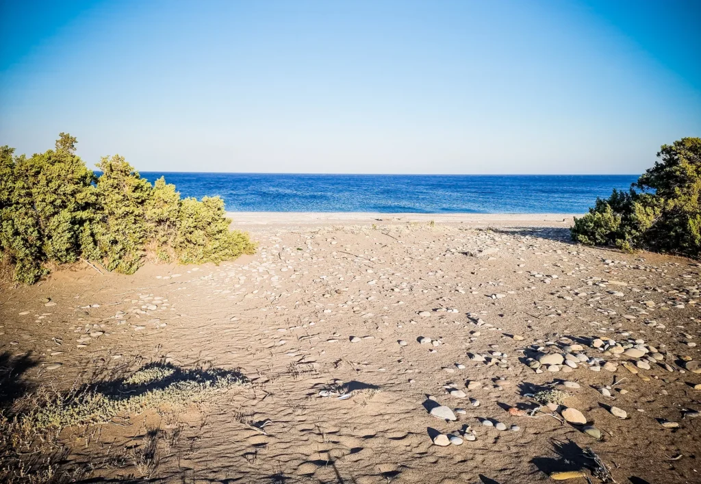 Beach